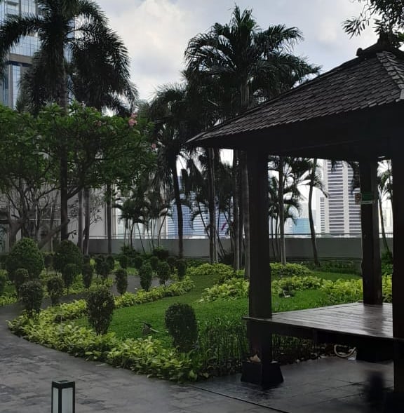 a park bench with a red umbrella and a red umbrella