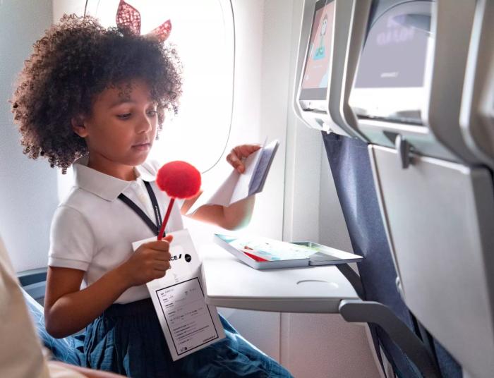 Safety of Air Travel by Unaccompanied Minors  (Children Traveling Alone by Air)