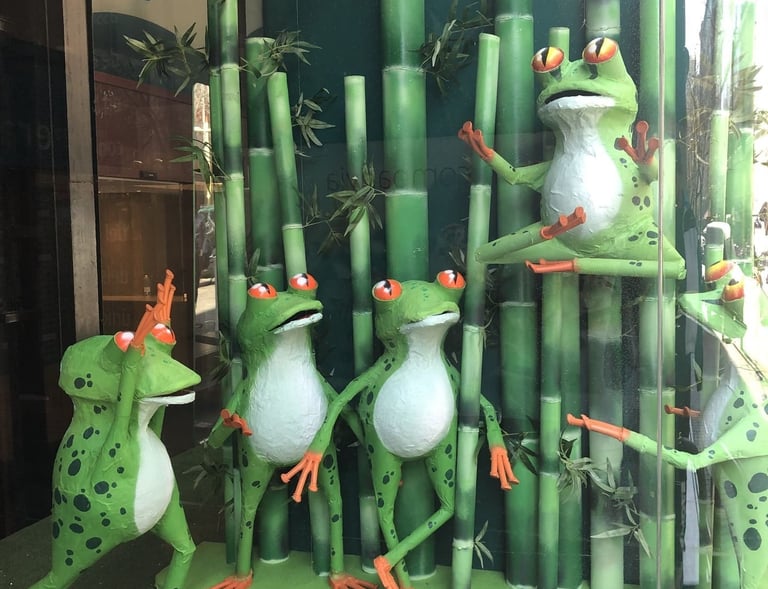 ranas decorativas para escaparate de mutua de cataluña, decoración, volumen, 3d