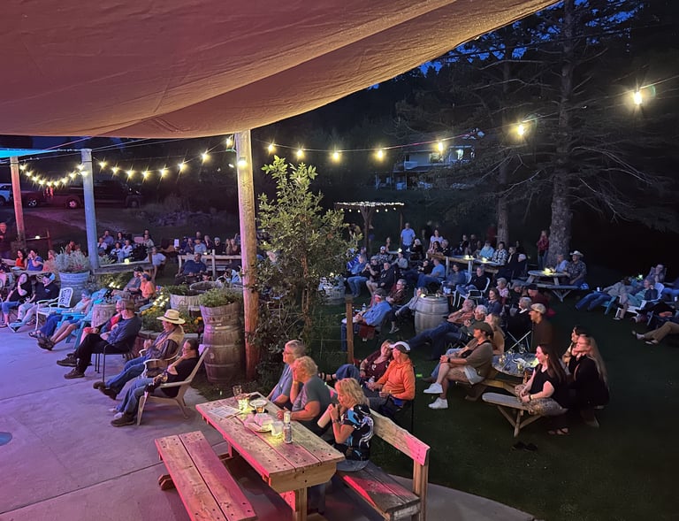 crowd enjoying live outdoor music in expansive backyard by the creek. 
