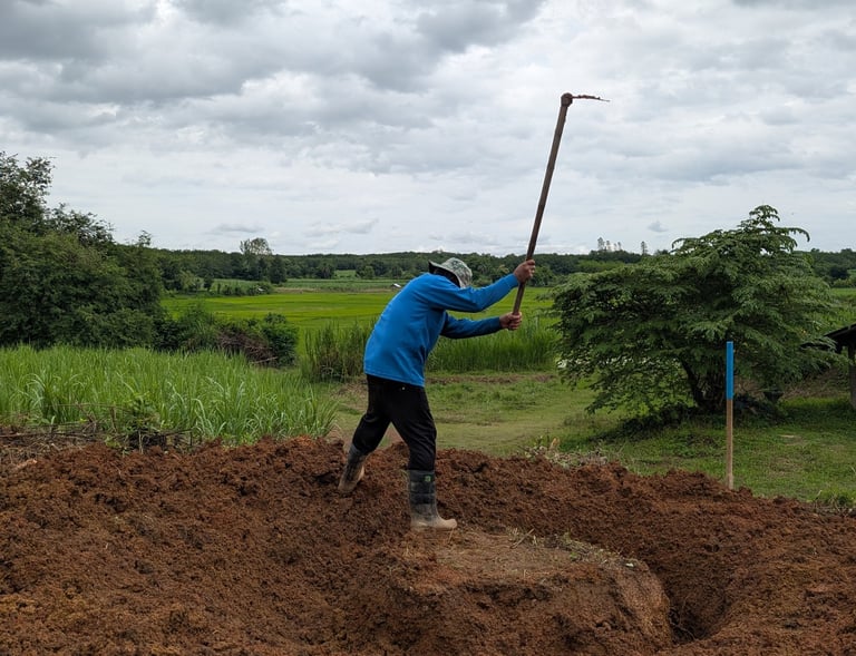 Preparing soil for a banana circle in the orchard at Loei Valley, rural Loei