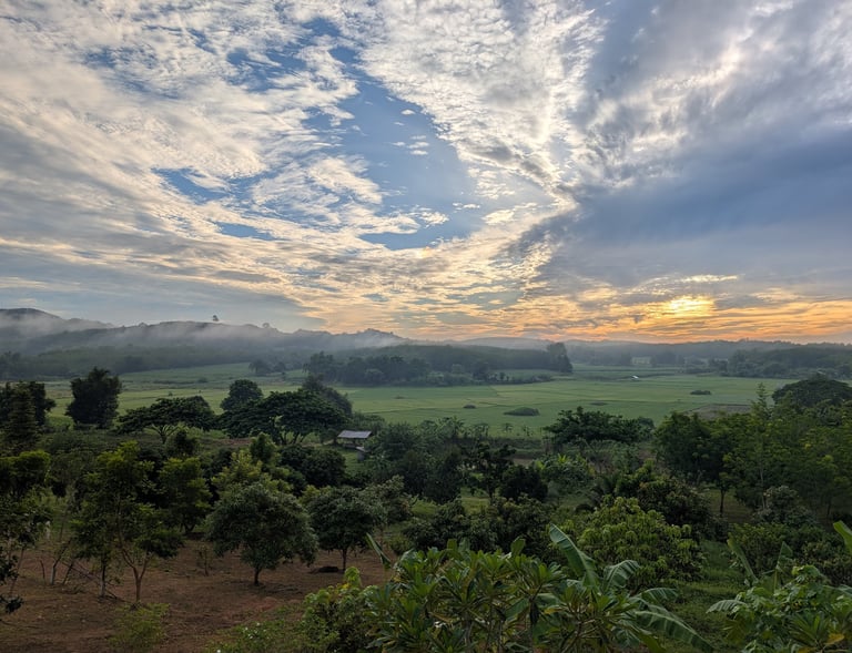 Misty sunrise over Loei Valley orchard and rice fields in rural Loei, Thailand