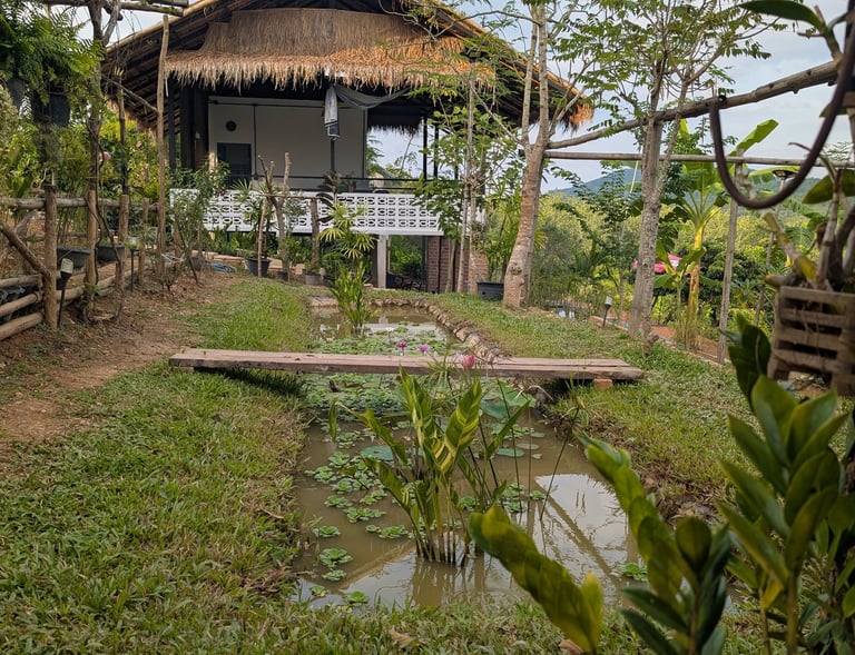 Open-air teahouse at Loei Valley overlooking lotus pond and orchard garden