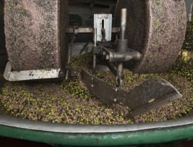 a machine that is making a batch of grapes