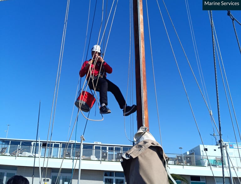 Rigging Surveys