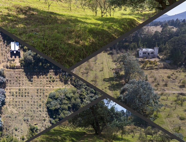 Real Campestre Acaxochitlán es un desarrollo inmobiliario diseñado para quienes buscan tranquilidad