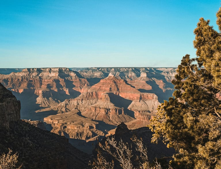  a vast view of the grand canyon