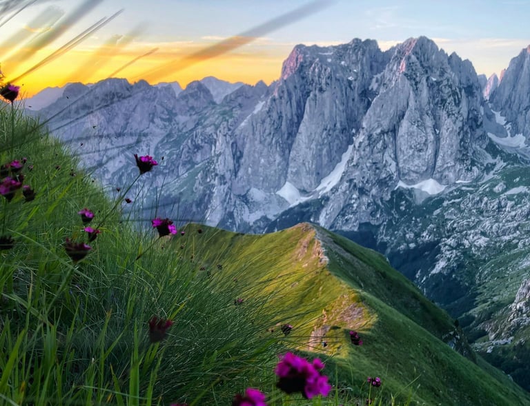 a mountain scene with a mountain range in the background