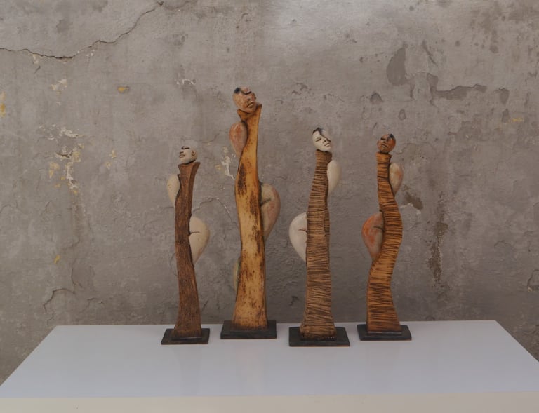 Bu seri  keskin hatlarla örülmüş yaşamın sınırları ile İnsan doğasının özgürce taşma arzusunu karşı 