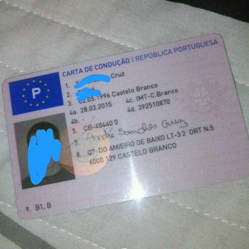 permis de conduire polonais, Polskie prawo jazdy