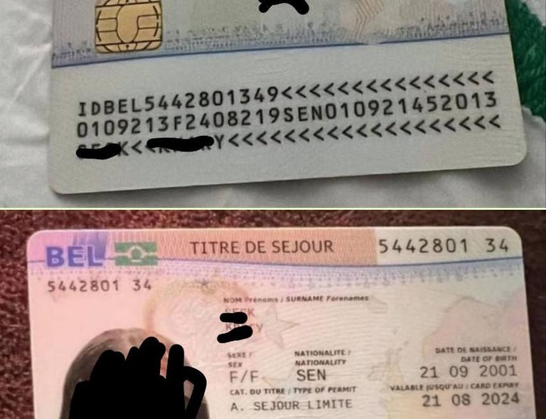 titre de séjour belge, Belgian residence permit