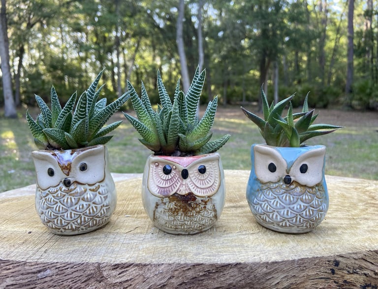 Three small succulent plants in decorative owl-shaped ceramic pots on a wooden tree stump.