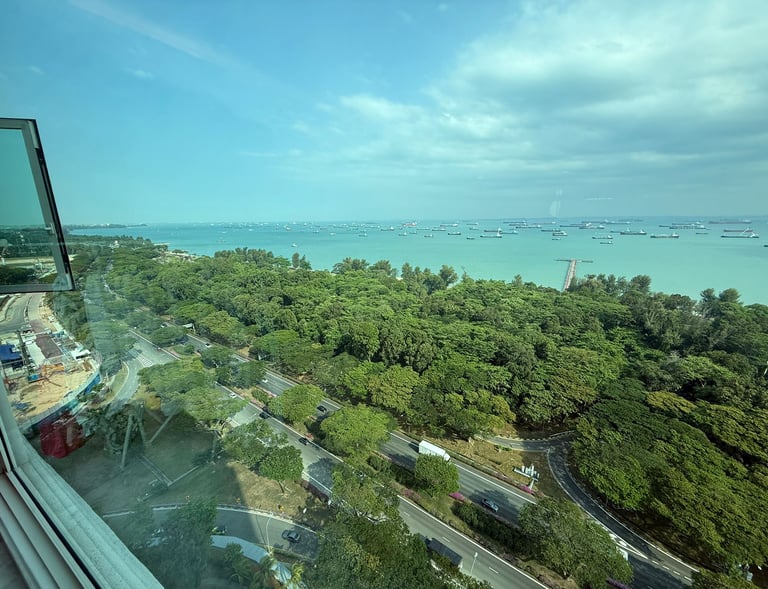 Aerial view of East Coast Park Singapore with lush green trees, coastal road, and cargo ships in the sea.