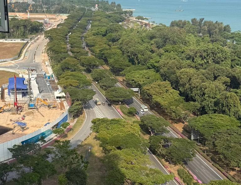 Aerial view of East Coast Park Singapore showing the coastal road, lush green trees, and cargo ships.