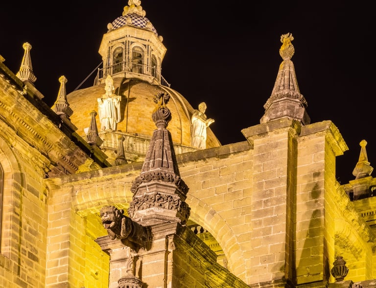 catedral de jerez por la noche
