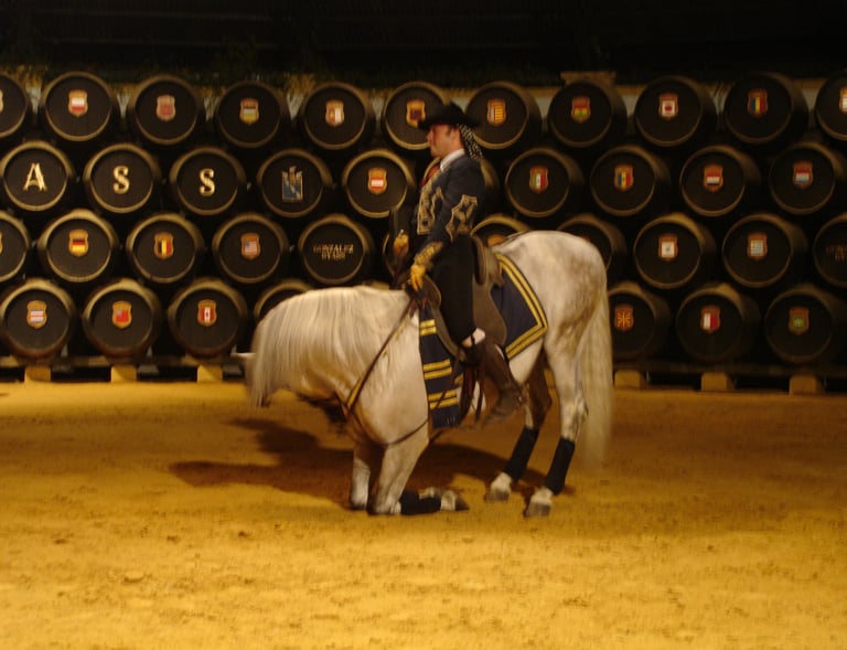 Espectáculo ecuestre de caballos de jerez en bodega
