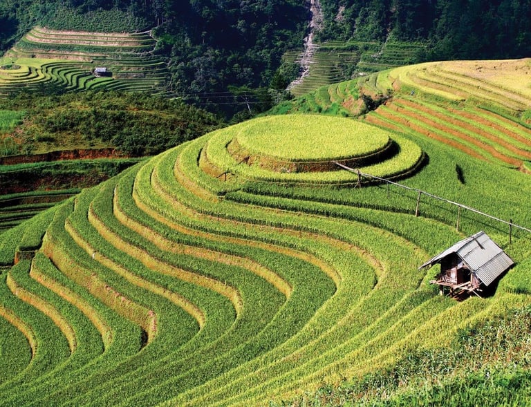 Rizière de Mu Cang Chai