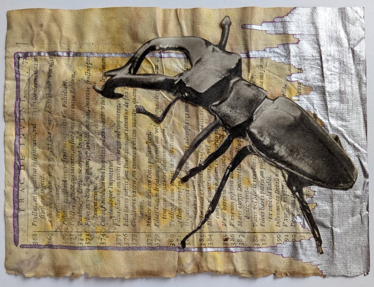 vintage scarabeo