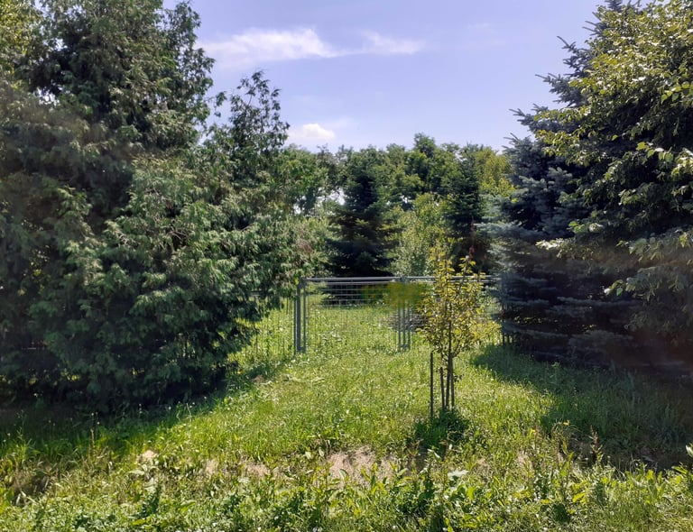 Baugrundstück in der Nähe von Marcali