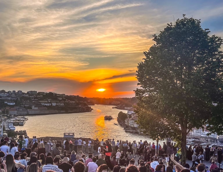 where to buy wine at Jardim do Morro