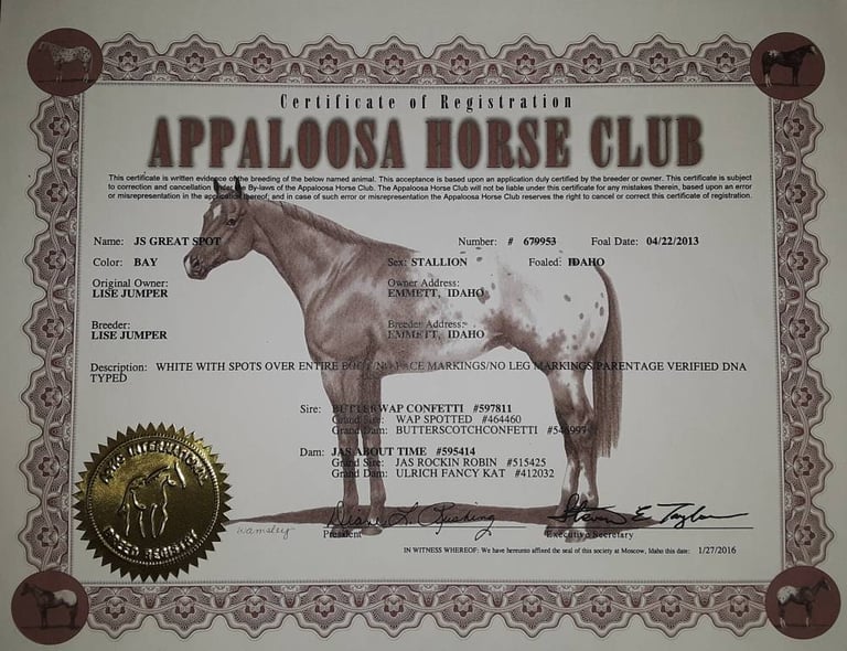 ApHC registration papers