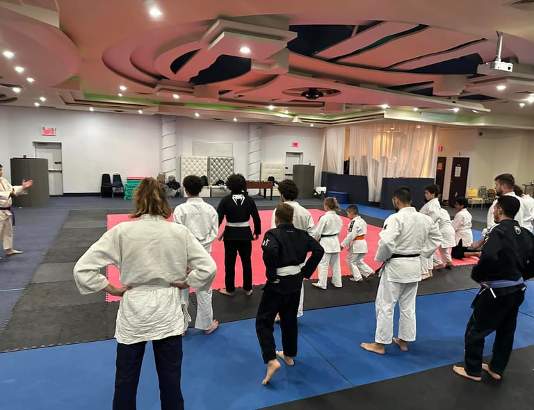Jiu JItsu Brésilien BJJ St Léonard SPVM MMA BJJ