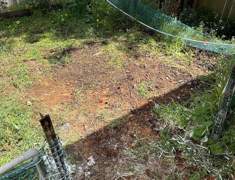 construction debris pick up in daly city california 