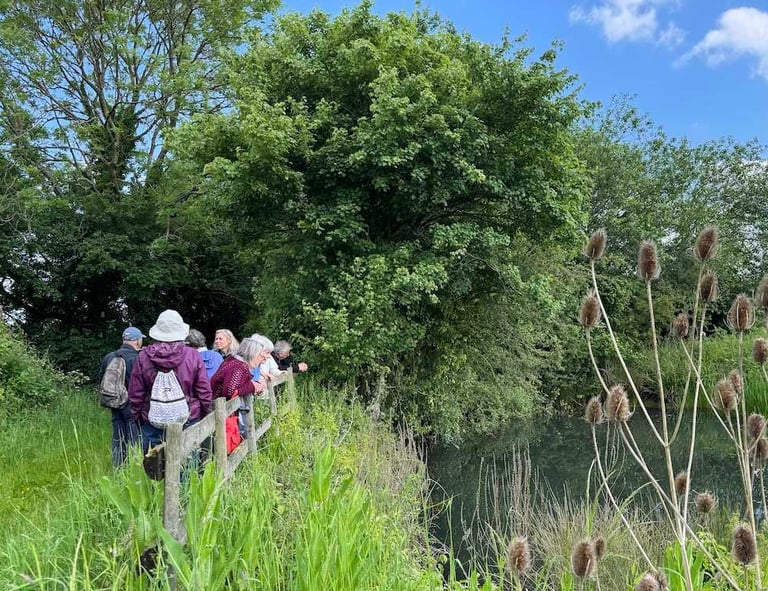 Field trip to Elm Farm, Burnett