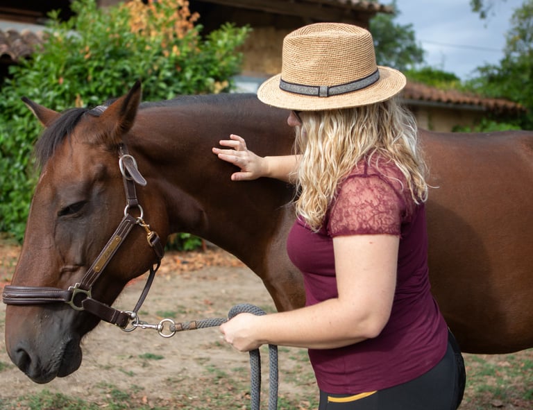 Détente d'un cheval par une thérapeute