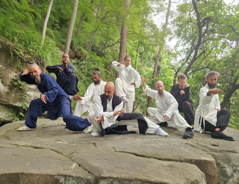 In the heart of nature, a Wudang family moves in harmony, weaving Tai Ji and Bagua into life.