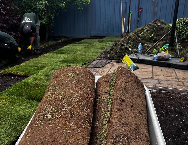Fresh sod installed in Mississauga backyard -- Smiling Lawn