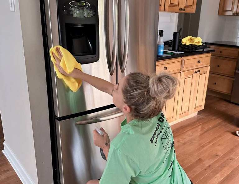 A professional cleaner thoroughly cleans the fridge