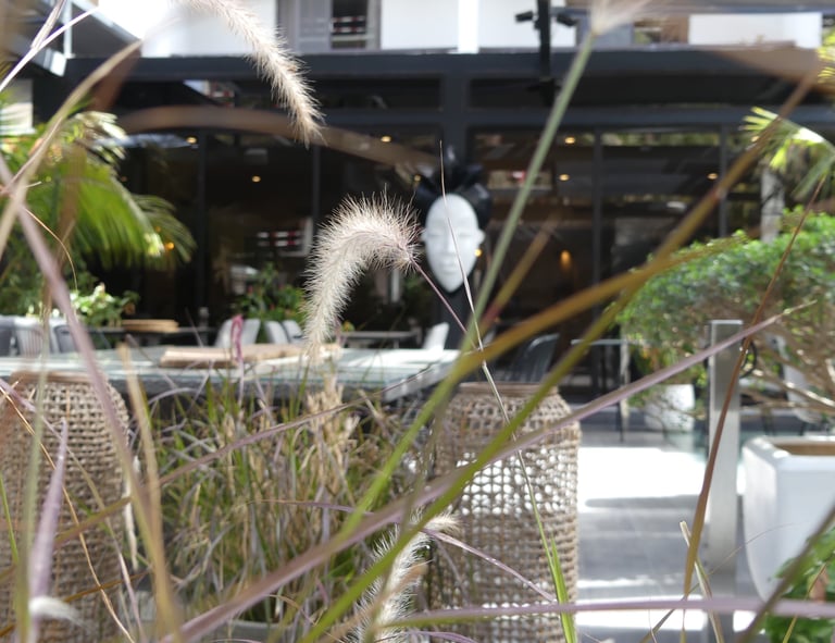 vue extérieure du restaurant alkimia à dakar