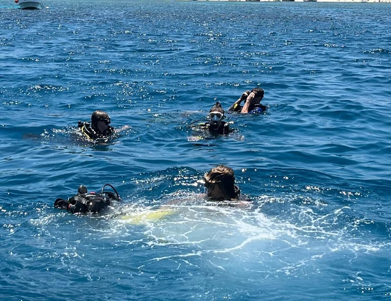 Scuba divers floating in the ocean near a tropical beach with green hills in the distance.