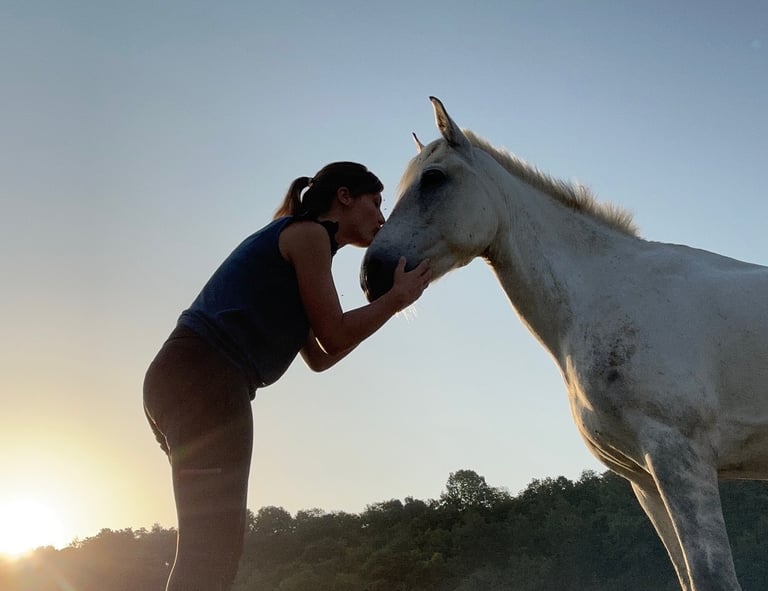 communication animale animal défunt, animal mort