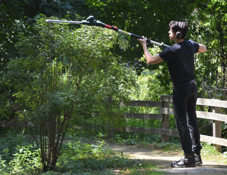 Taille de haies et d'arbustes à Soisy-sur-Seine et aux alentours.