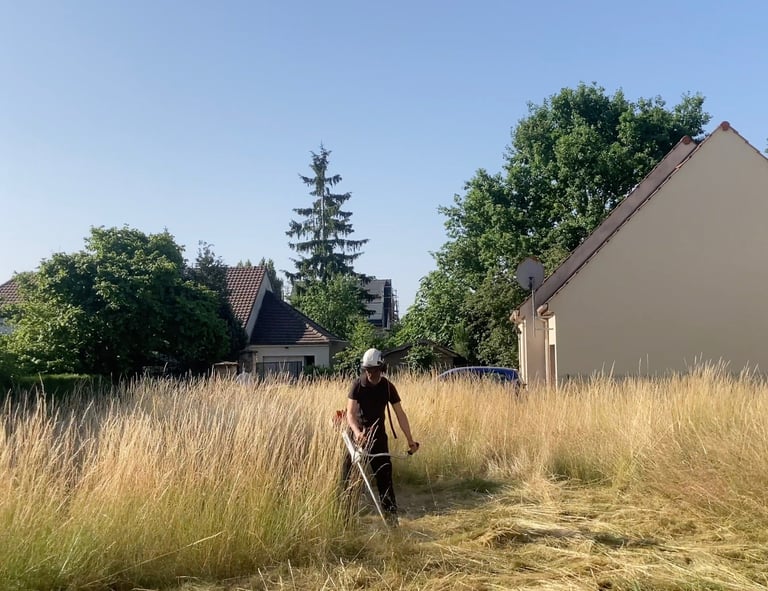 Débroussaillage à Soisy-sur-Seine et aux alentours.