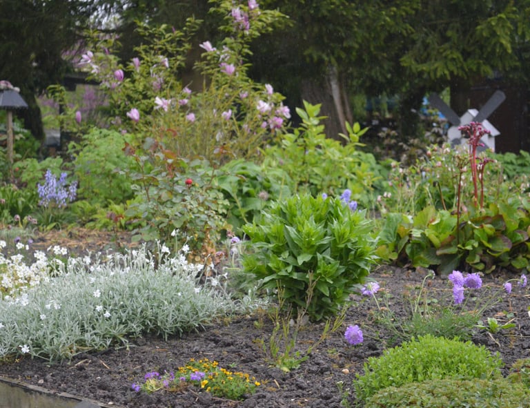 Désherbage à Soisy-sur-Seine et aux alentours.
