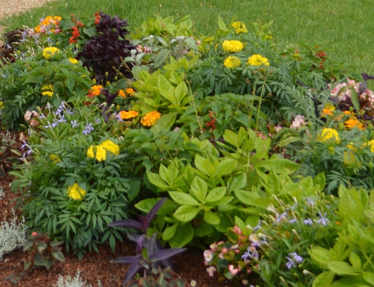 Création de massifs à Soisy-sur-Seine et aux alentours.