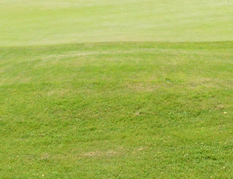 Tonte de pelouses à Soisy-sur-Seine et aux alentours.