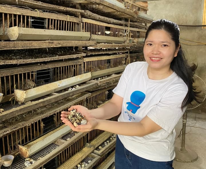 trứng chim cút bóc sẵn Đông Anh, Hà Nội, chim cút thịt, chim câu thịt giá sỉ