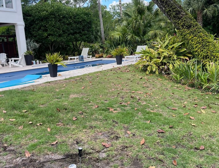 before landscaping in Ponte Vedra Beach Fl