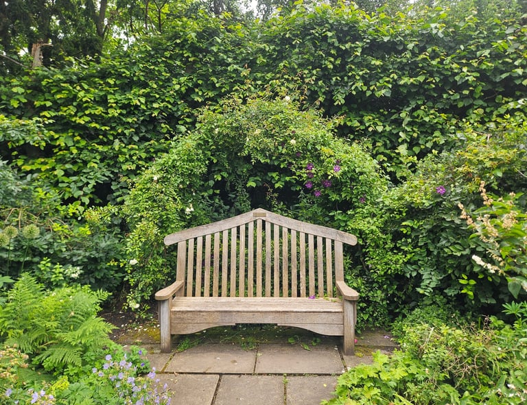 A garden bench resting point, framed by a vigorous clematis arch