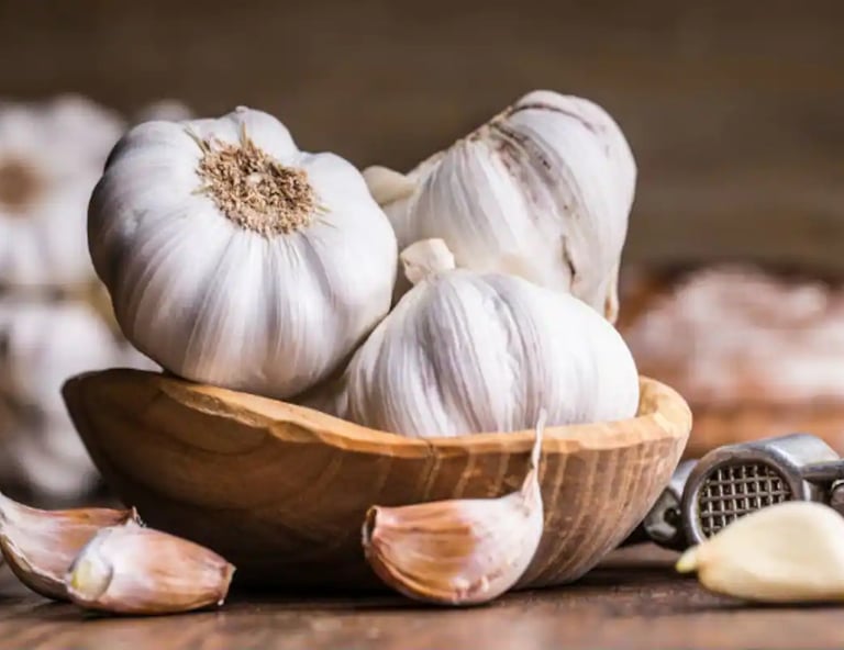 garlic