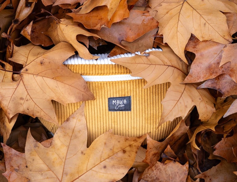 Photo produit feuille automne