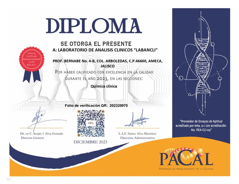 Diploma Pacal 2023