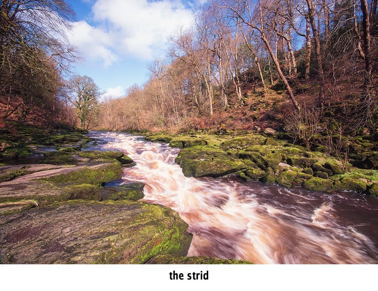 the strid on the river wharfe near bolton abbey