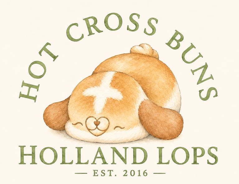 Hot Cross Buns Holland Lop logo