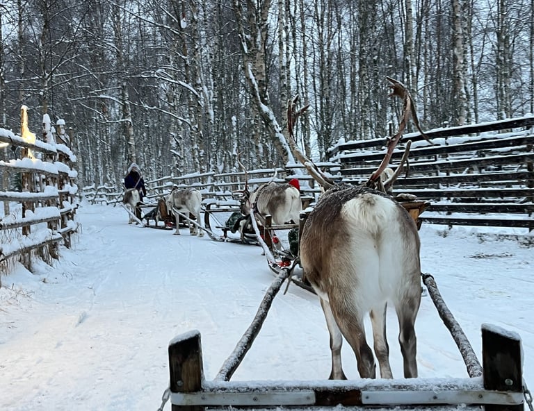 Sleigh Ride