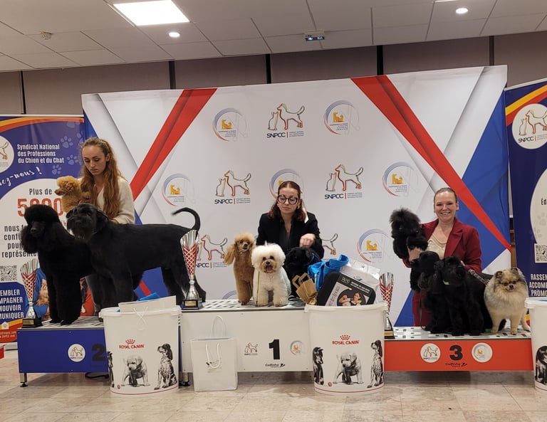Championnat de France de toilettage 2025